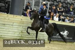 24BUCK_03348 proof