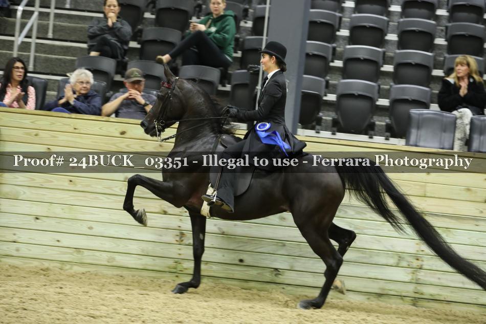 Proof 24BUCK_03351