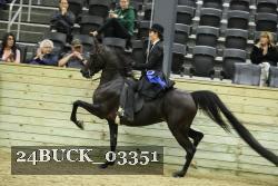 24BUCK_03351 proof