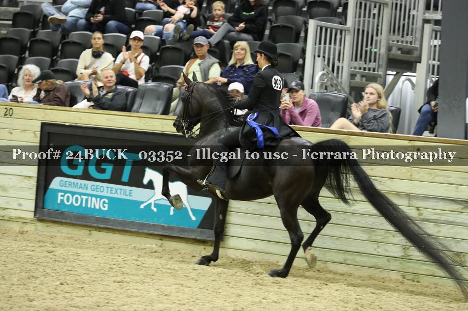 Proof 24BUCK_03352
