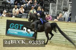 24BUCK_03352 proof