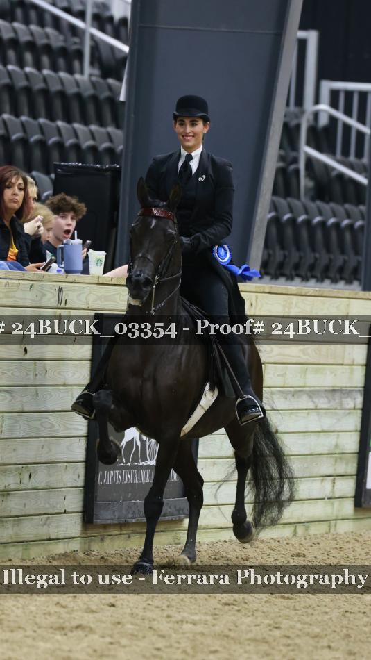 Proof 24BUCK_03354