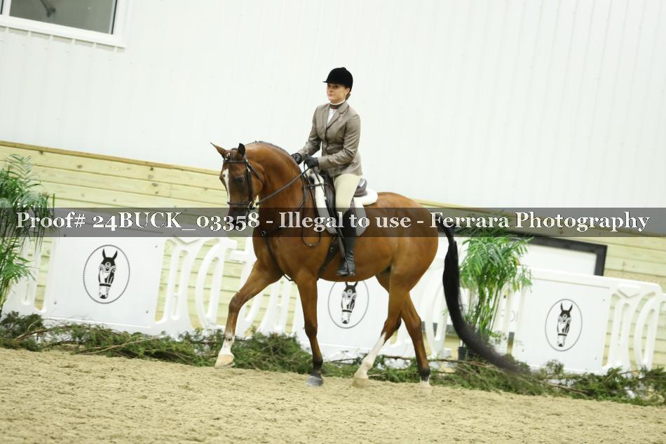 Proof 24BUCK_03358