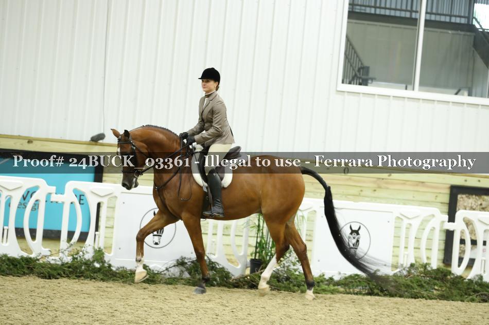 Proof 24BUCK_03361
