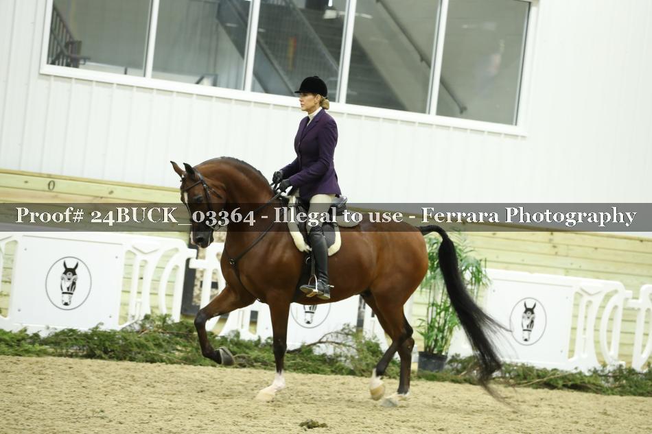 Proof 24BUCK_03364