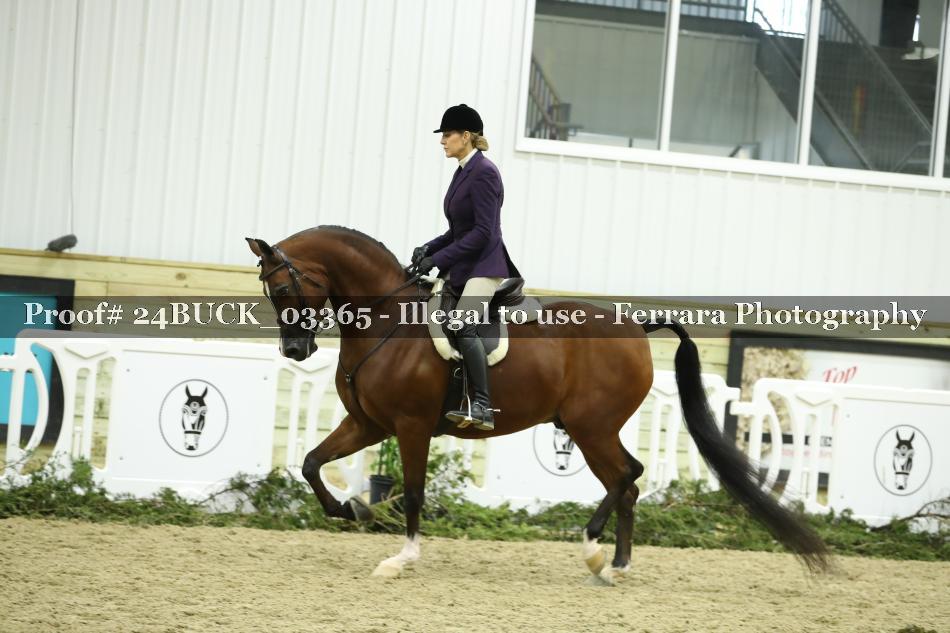 Proof 24BUCK_03365