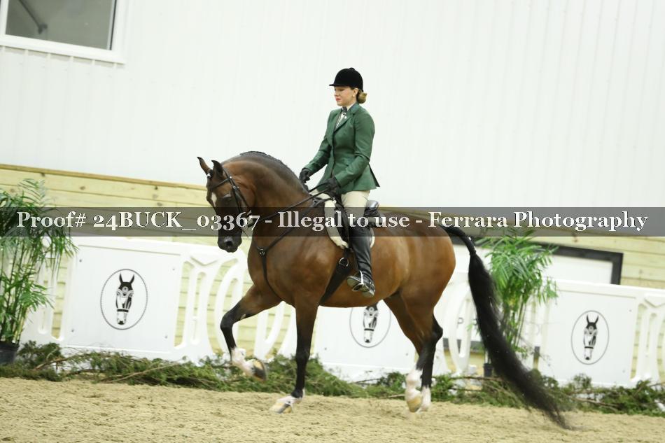 Proof 24BUCK_03367