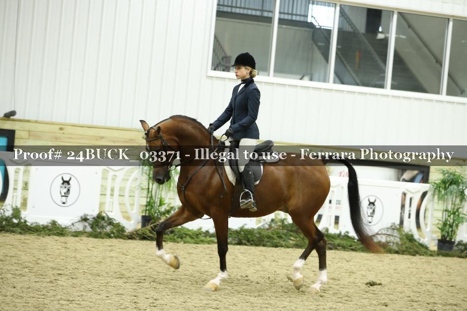 Proof 24BUCK_03371