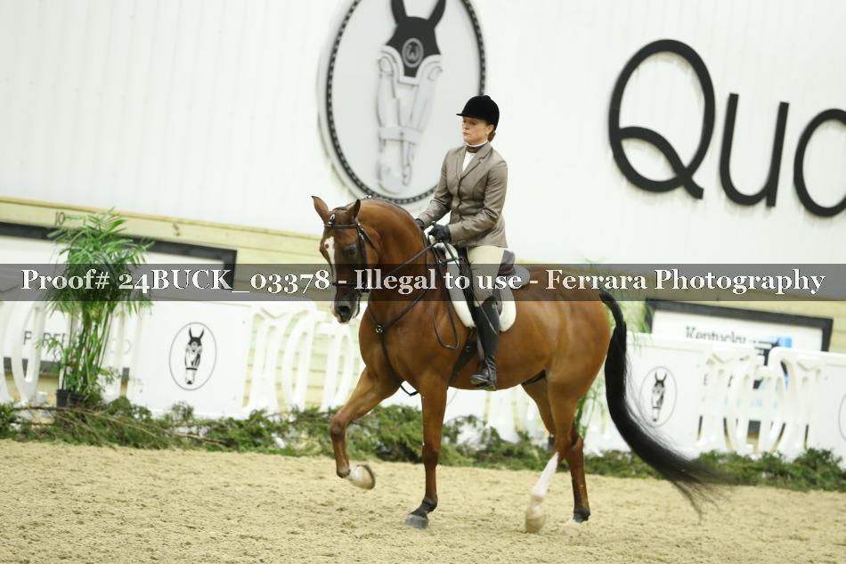 Proof 24BUCK_03378