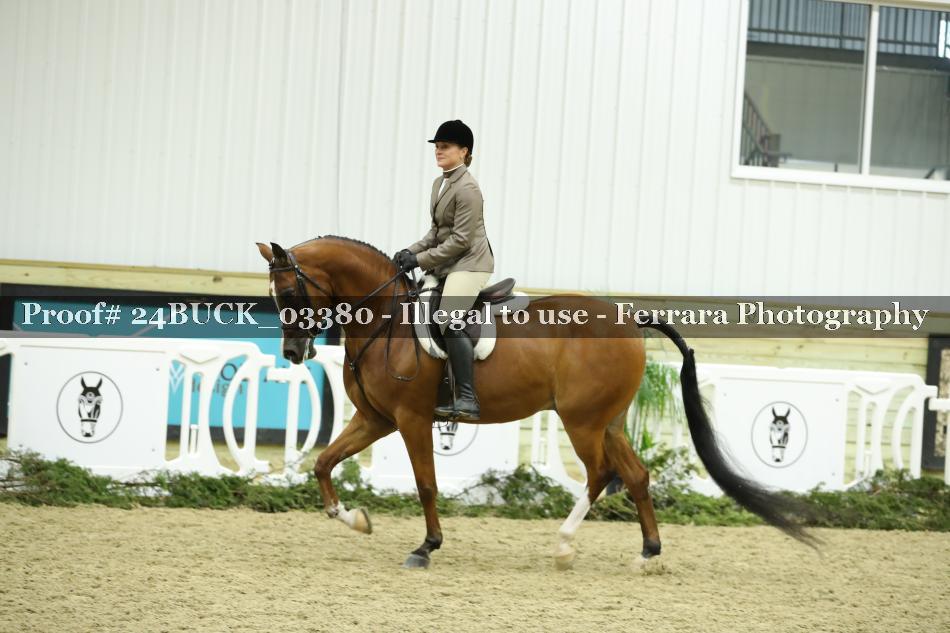 Proof 24BUCK_03380