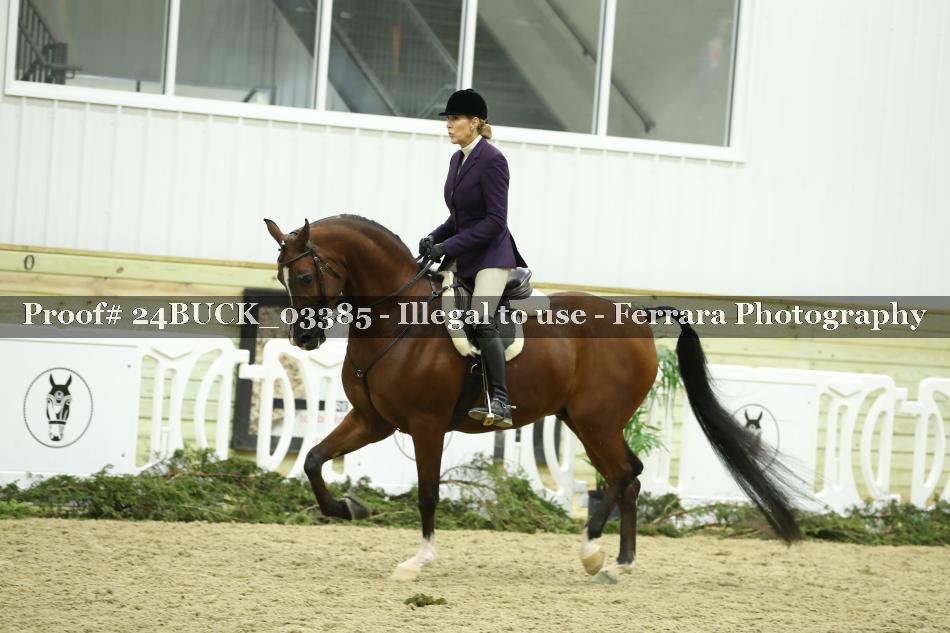 Proof 24BUCK_03385