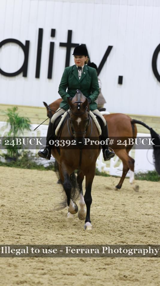 Proof 24BUCK_03392