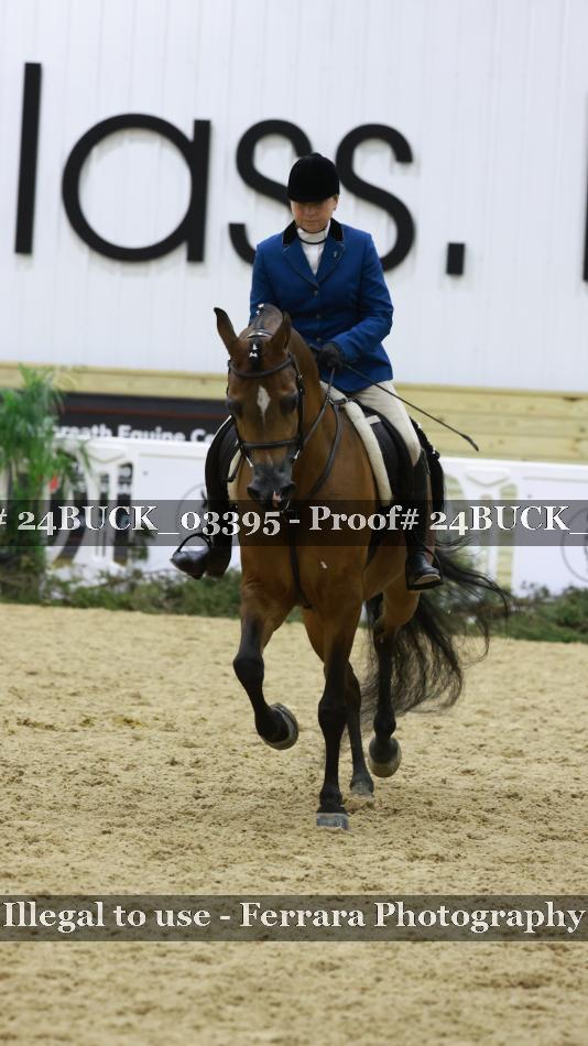 Proof 24BUCK_03395