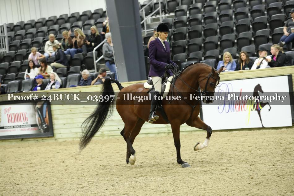 Proof 24BUCK_03397