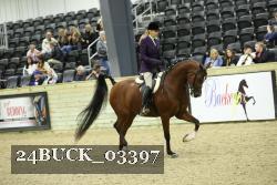 24BUCK_03397 proof