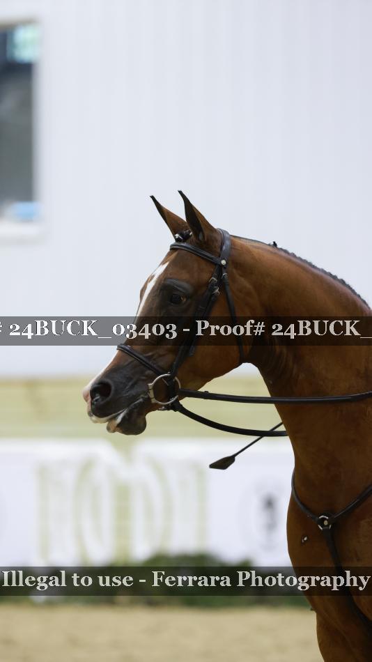 Proof 24BUCK_03403