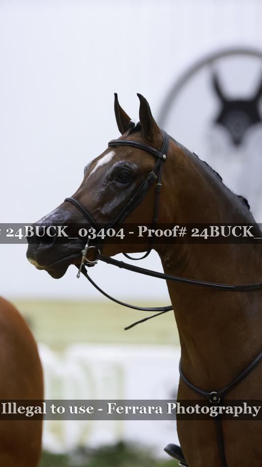 Proof 24BUCK_03404