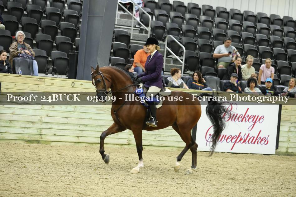Proof 24BUCK_03409