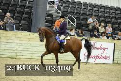 24BUCK_03409 proof