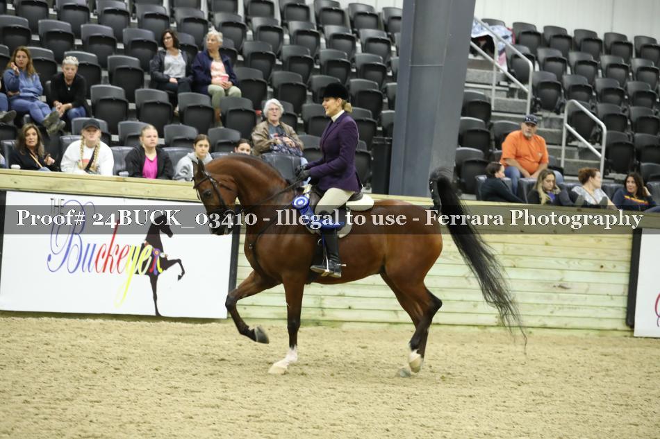 Proof 24BUCK_03410