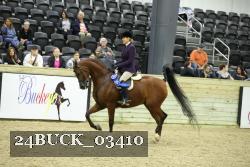 24BUCK_03410 proof