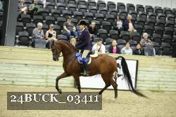 24BUCK_03411 proof