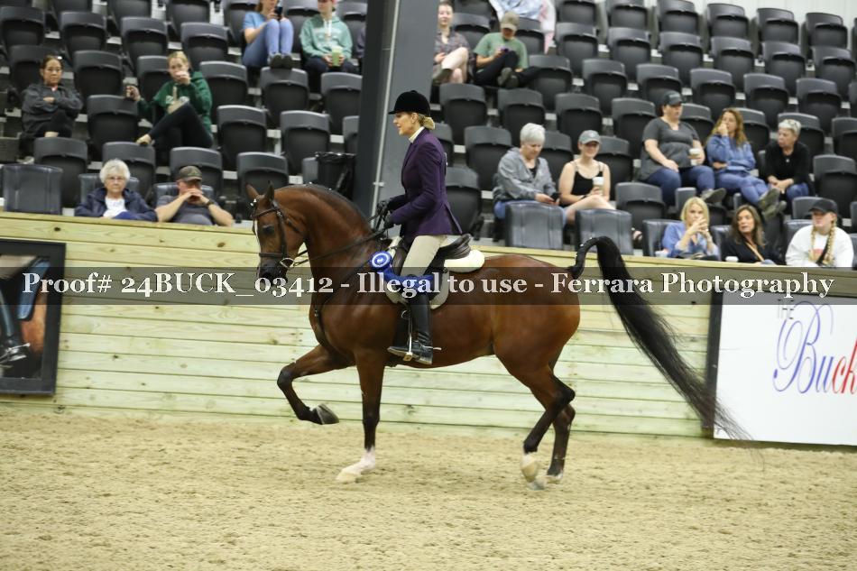 Proof 24BUCK_03412