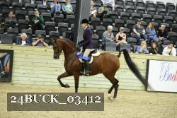 24BUCK_03412 proof