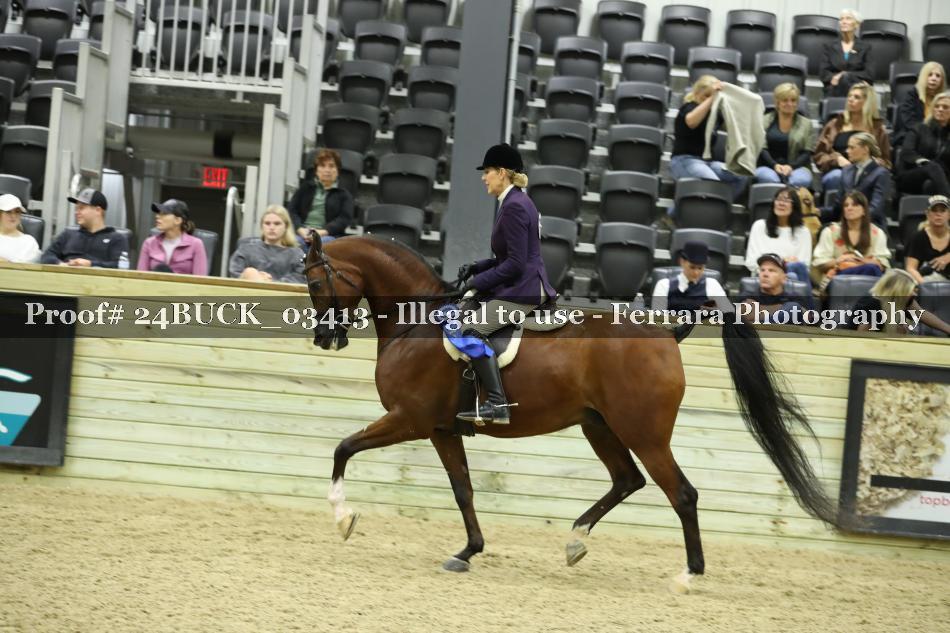 Proof 24BUCK_03413