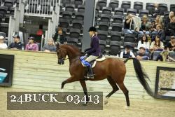 24BUCK_03413 proof