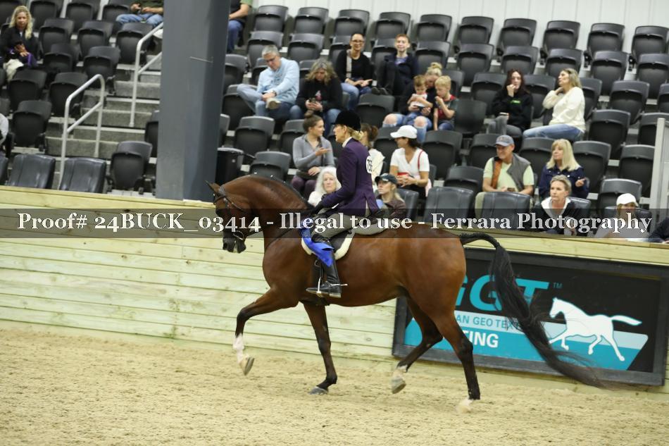 Proof 24BUCK_03414