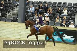 24BUCK_03414 proof