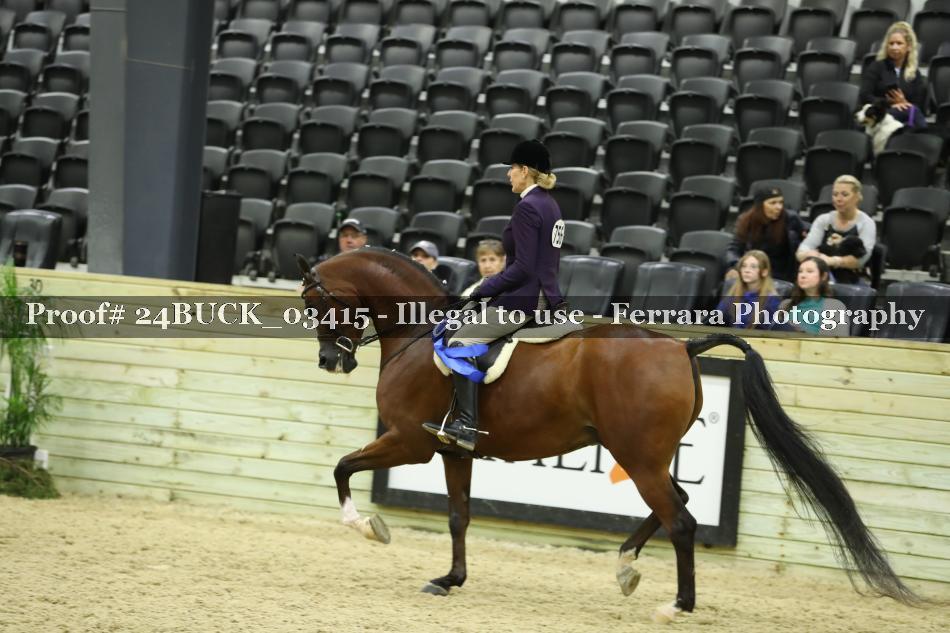 Proof 24BUCK_03415