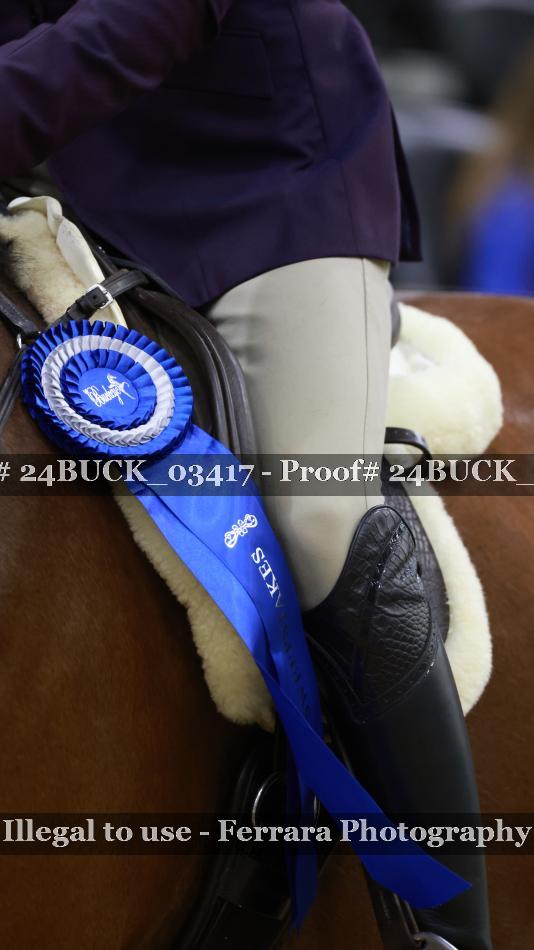 Proof 24BUCK_03417