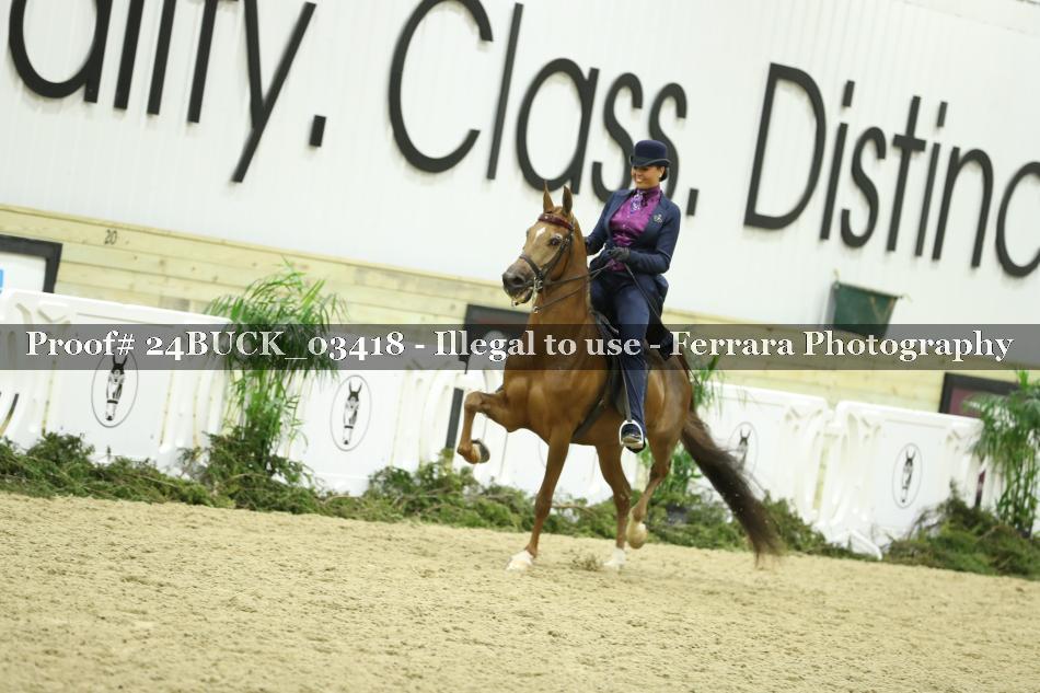 Proof 24BUCK_03418