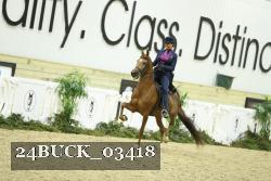 24BUCK_03418 proof