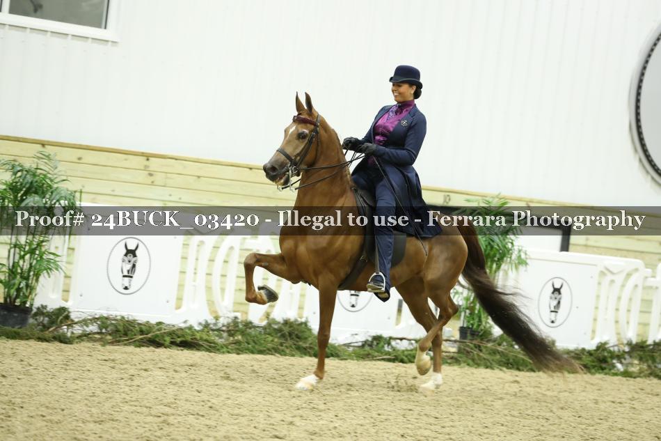Proof 24BUCK_03420