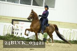 24BUCK_03421 proof