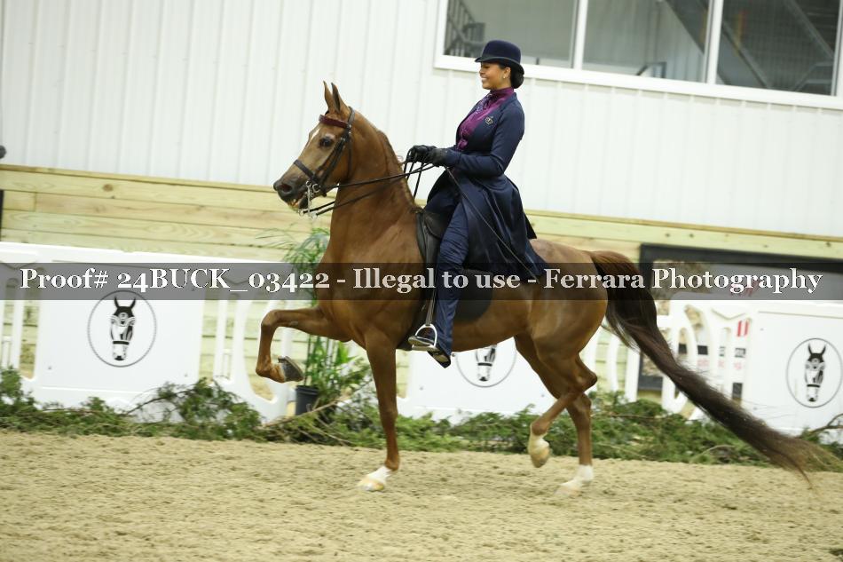 Proof 24BUCK_03422