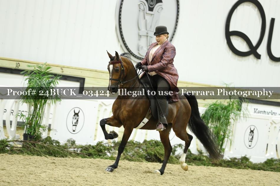 Proof 24BUCK_03424