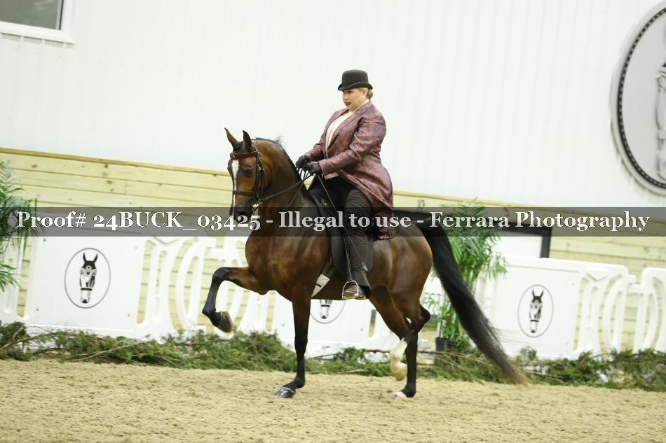 Proof 24BUCK_03425