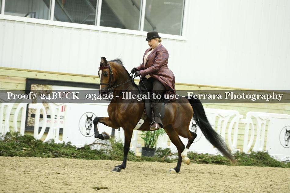 Proof 24BUCK_03426
