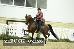 24BUCK_03426 proof