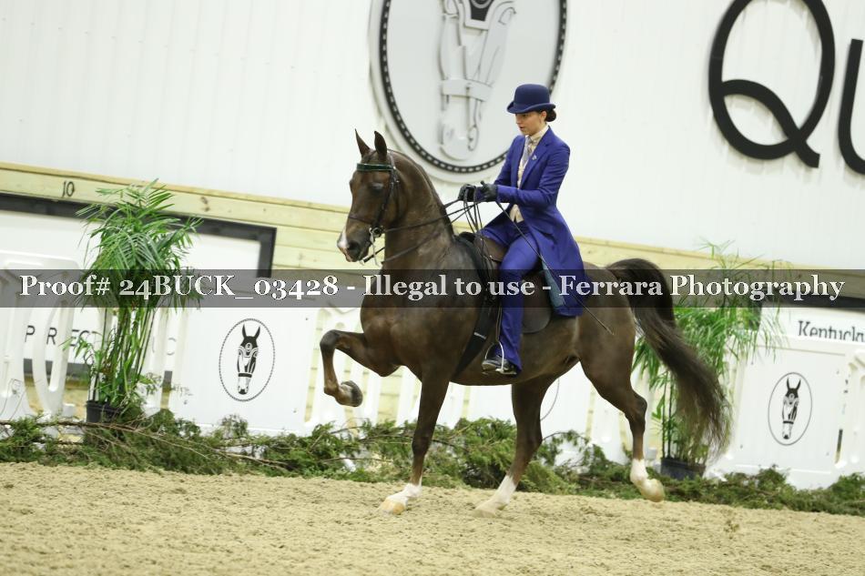 Proof 24BUCK_03428