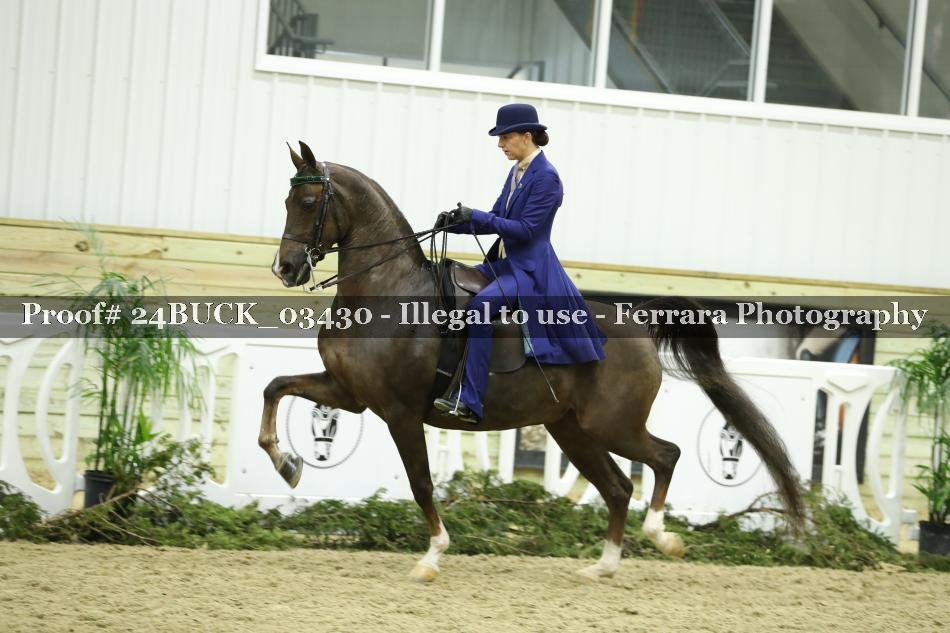 Proof 24BUCK_03430