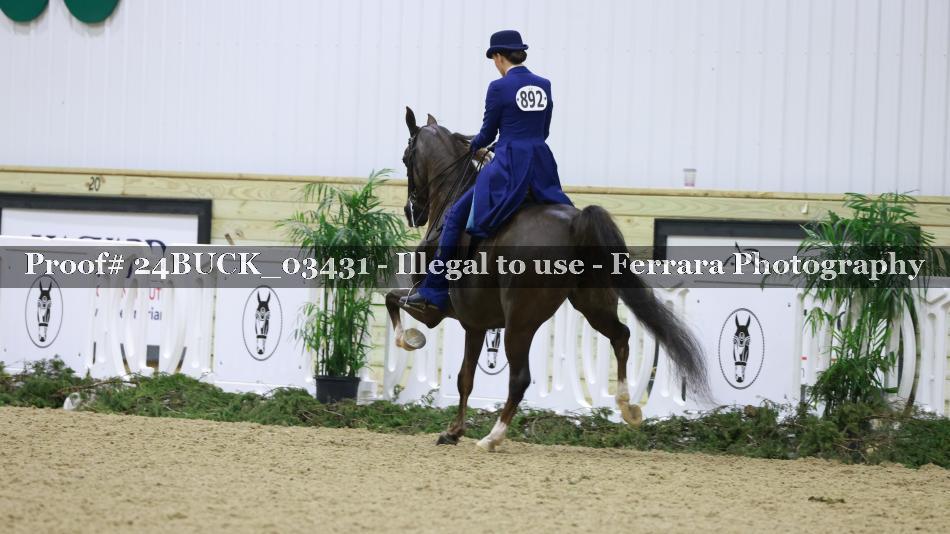 Proof 24BUCK_03431