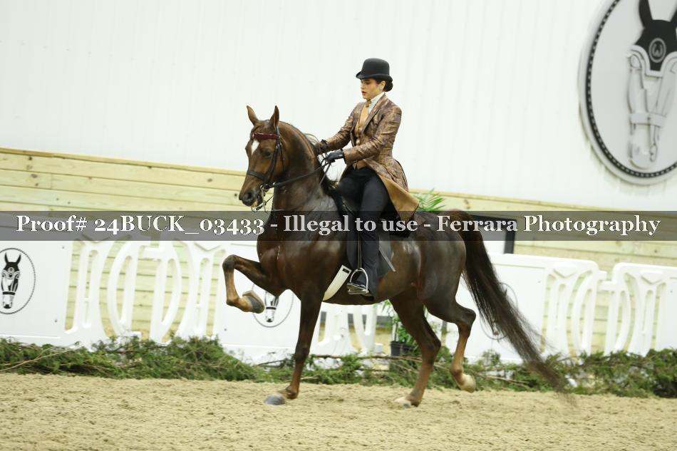 Proof 24BUCK_03433