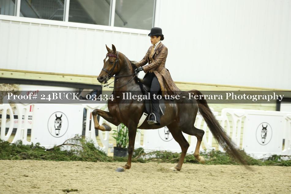 Proof 24BUCK_03434