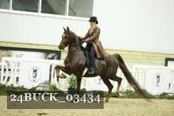 24BUCK_03434 proof
