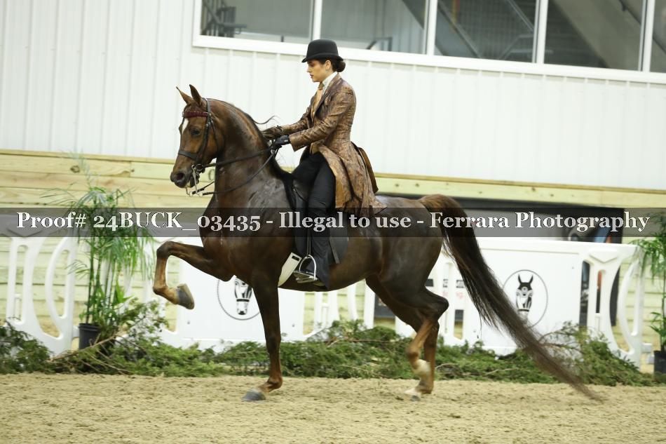 Proof 24BUCK_03435